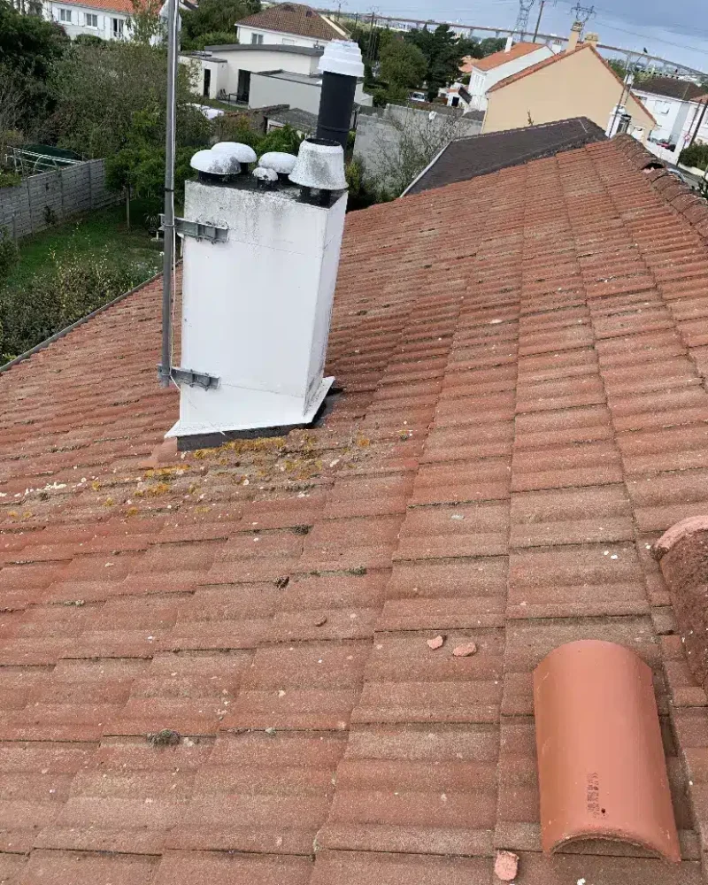 Réalisation traitement antimousse par Stal Ravalement à Nantes