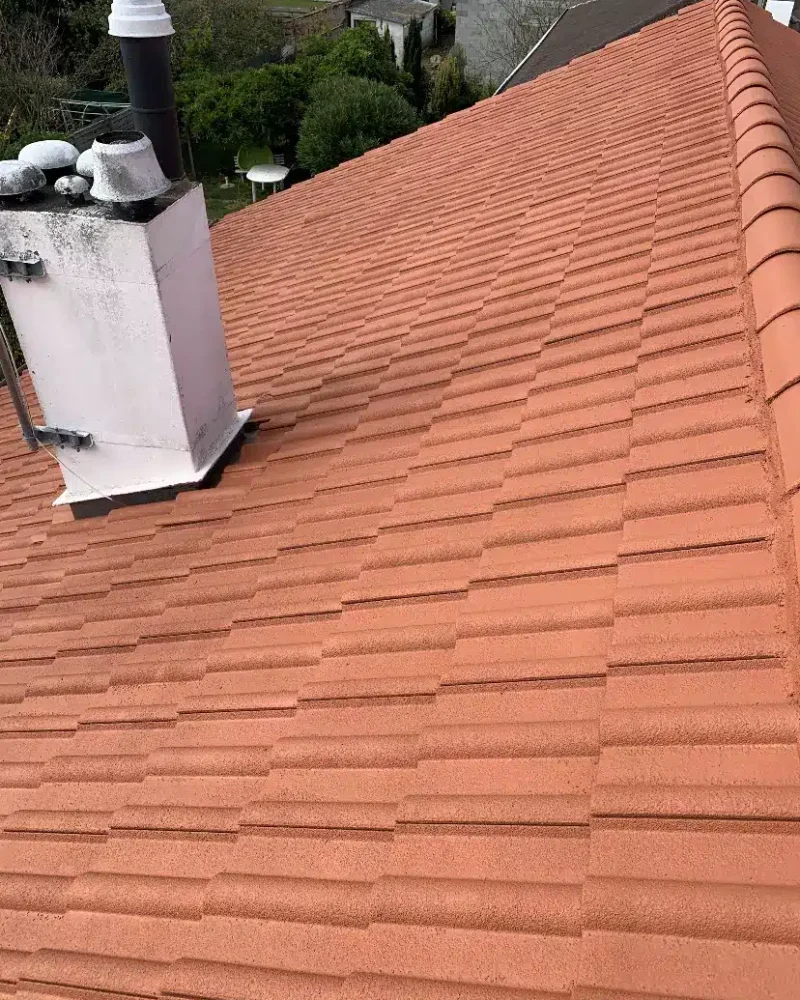 Réalisation traitement antimousse par Stal Ravalement à Nantes